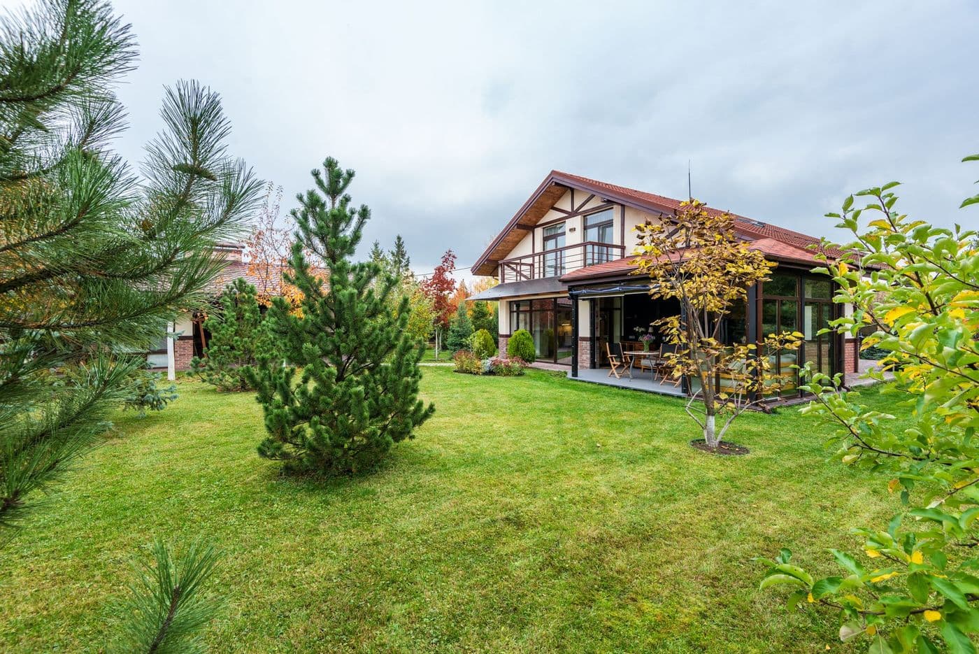 Grădina din spatele casei, cu gazon și pini